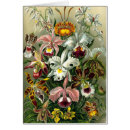 Recherche de exotiques vœux cartes Floral