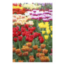 Recherche de idyllique posters Jardin