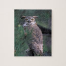 Recherche de cornes puzzles Rapaces