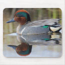 Recherche de archer tapis souris Oiseau