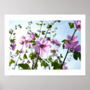 Recherche de lilas posters Été