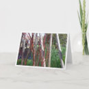 Suche nach stangen karten Natur