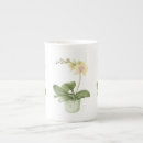 Recherche de orchid tasses Mother