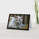 Suche nach beileids karten wohnen zuhause Katze
