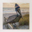 Suche nach pelikan puzzle Vogel