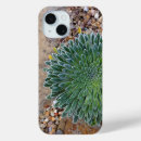 Recherche de succulent iphone coques Plante