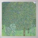 Recherche de rosier art Nature