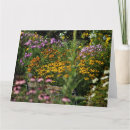 Suche nach phlox postkarten Gärten