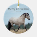 Suche nach wildpferd ornamente Schnurrbart