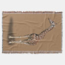 Suche nach giraffe decken Fotografie