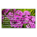 Recherche de violet magnete Fleurs violettes