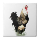 Suche nach rooster fliesen Vogelvogel