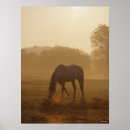 Suche nach arabische sprache poster Rasse