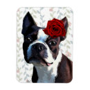 Recherche de de boston magnets Fleurs