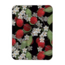 Recherche de baie magnets Noir