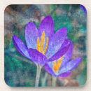 Suche nach crocus untersetzer Für sie
