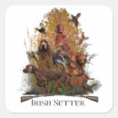 Suche nach irish setter aufkleber Haustier