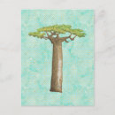Suche nach baobab baum postkarten Madagaskar
