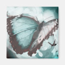 Recherche de jolis papillons magnets Jolie