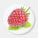 Suche nach himbeeren magnete Frisch