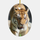 Suche nach wilder tiger ornamente Natur
