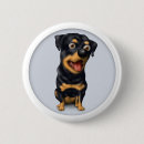 Recherche de chiot rottweiler badges Chiots