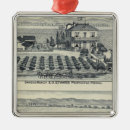 Suche nach weinberg ornamente Kalifornien