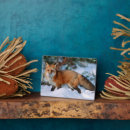 Recherche de renard plaques Neige