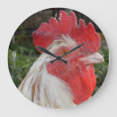 Recherche de brun et blanc horloges Oiseau