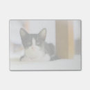 Suche nach leute post it Haustiere
