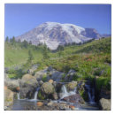 Suche nach washington fliesen Usa