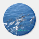 Suche nach entspannung magnete Wasser