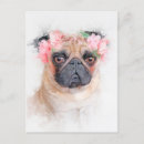 Recherche de loyal cartes postales Animal