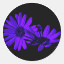 Suche nach gerbera aufkleber Botanisch