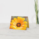 Suche nach margerite karten Blume