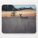 Suche nach kitz mousepads Wild lebende tiere