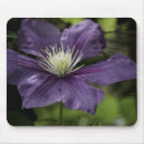 Suche nach clematis mousepads Lila