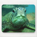 Suche nach schnorcheln mousepads Koralle