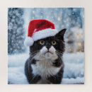 Recherche de chat noir et blanc puzzles Animaux domestiques