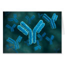 Suche nach telomere Genetisch