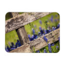 Recherche de barrière magnets Scène rurale