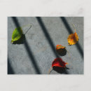 Recherche de color photographie Vert
