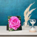 Suche nach runde fotoplatten Rose