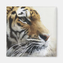 Suche nach zoo magnete Im freien