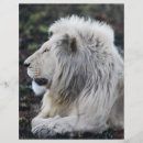 Recherche de faune prospectus Animaux