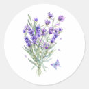 Suche nach lavendel blumen aufkleber Sommer