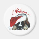 Recherche de chien de bernard magnets Saint