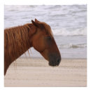 Recherche de peinture espagnole posters Cheval
