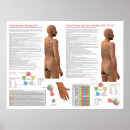 Suche nach meridiane poster Chinesische medizin