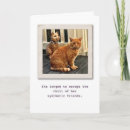 Suche nach wirklicher freund Katze